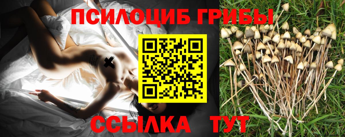 Псилоцибиновые грибы мухоморы  Вход с VPN  даркнет сайт  Канск  Галлюциногенные грибы Psilocybine cubensis 