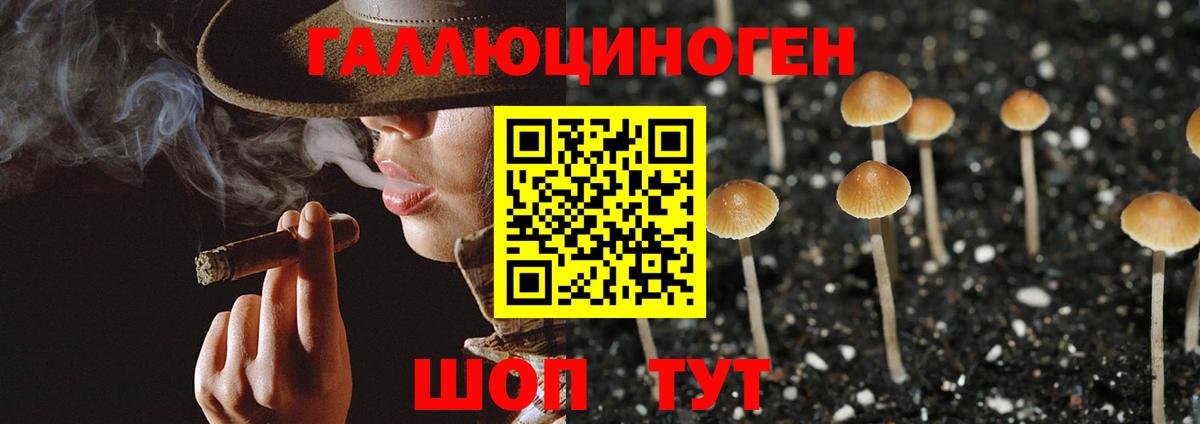 Галлюциногенные грибы прущие грибы Канск